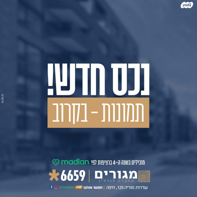 החצב 