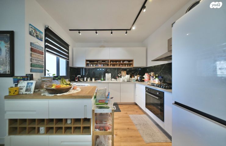 דירה, שלמה לוי, נרקיסים, ראשון לציון