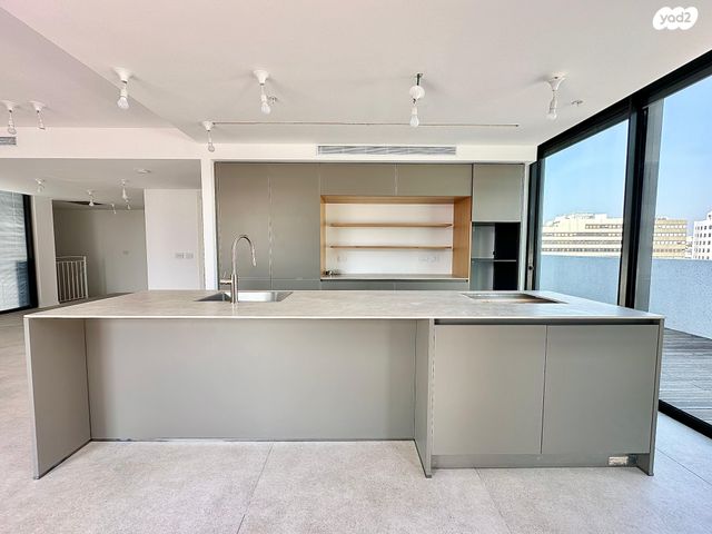 גג/ פנטהאוז, לב תל אביב, לב העיר צפון, תל אביב יפו