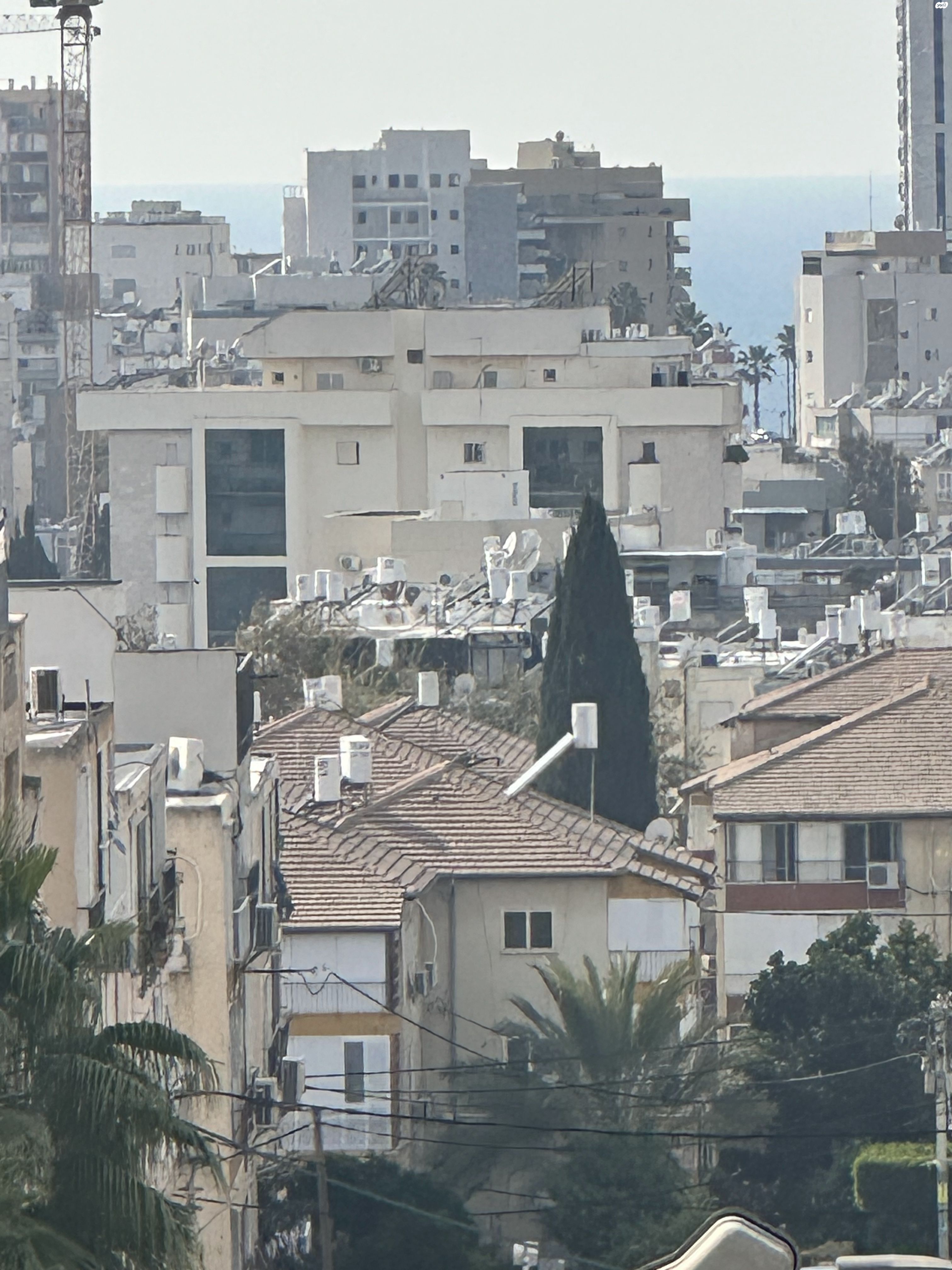 כצנלסון 