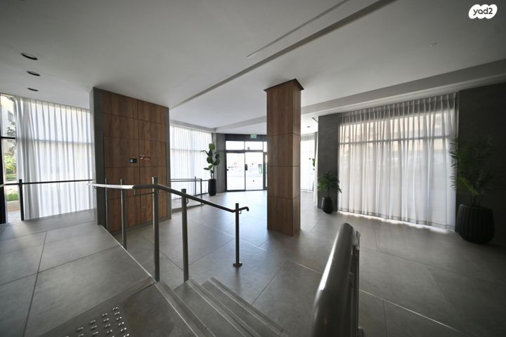 דירה, שלמה לוי, נרקיסים, ראשון לציון