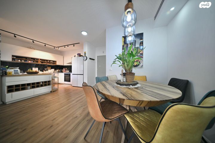 דירה, שלמה לוי, נרקיסים, ראשון לציון