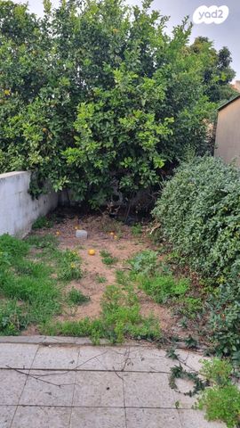 דירה, גבעת אולגה, חדרה