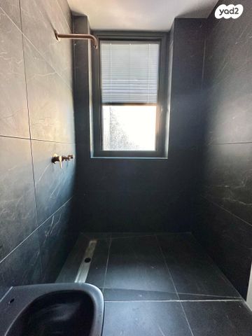 גג/ פנטהאוז, לב תל אביב, לב העיר צפון, תל אביב יפו