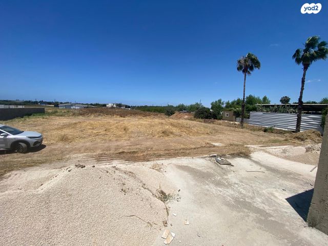 משק חקלאי/ נחלה