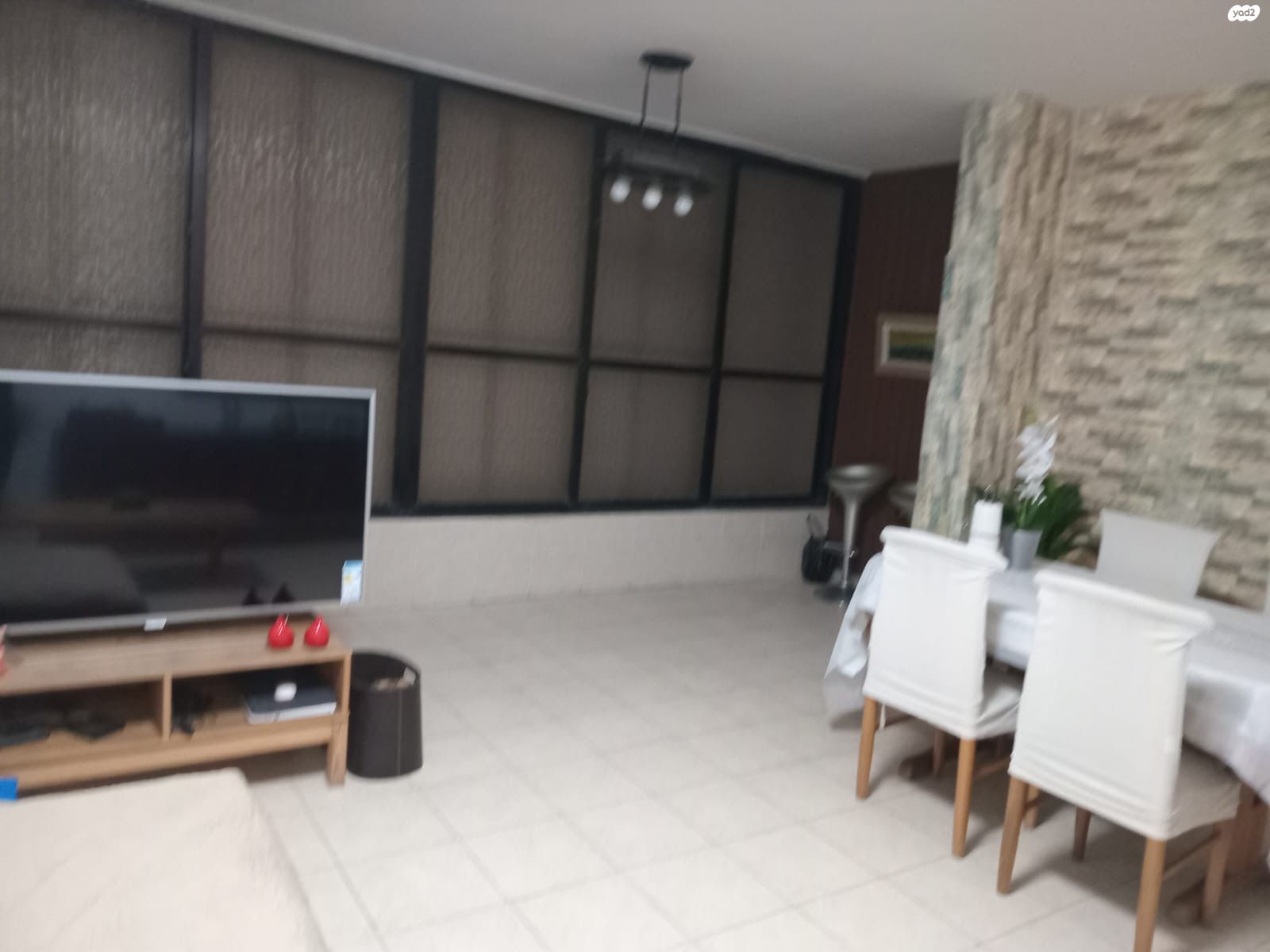 החשמונאים 23