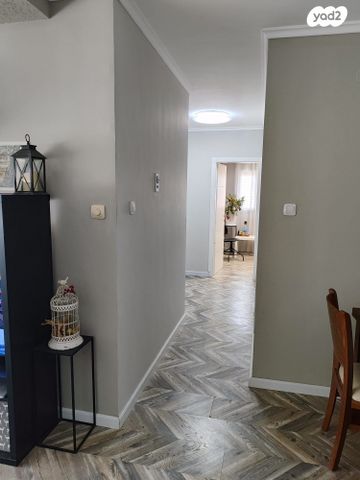 דירה, חלמיש, ערד