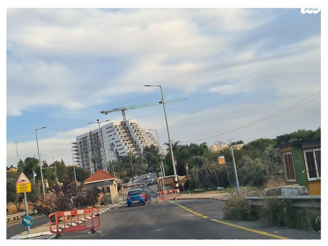 מגרשים, האלון, עץ אפרים