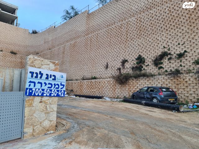 מגרשים, האלון, עץ אפרים