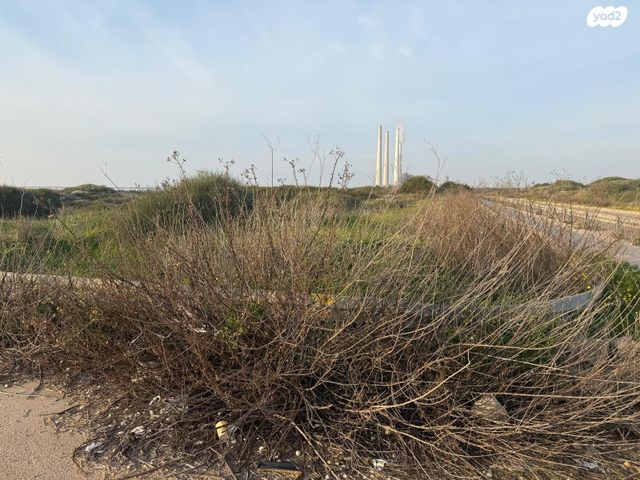 מגרשים, חדרה