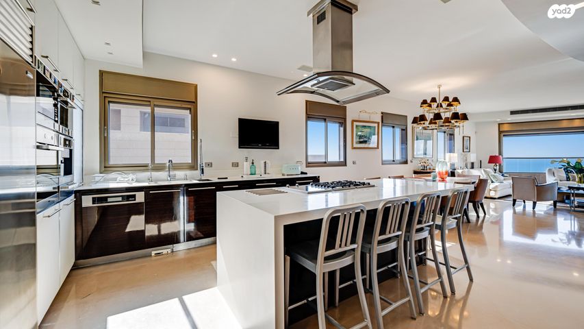 גג/ פנטהאוז, נתניה