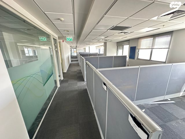 פרופ' הלל וחנן אופנהיימר 