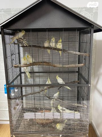 אביזרים | כלוב