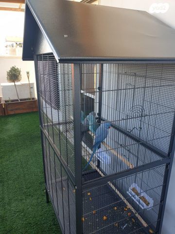 אביזרים | כלוב