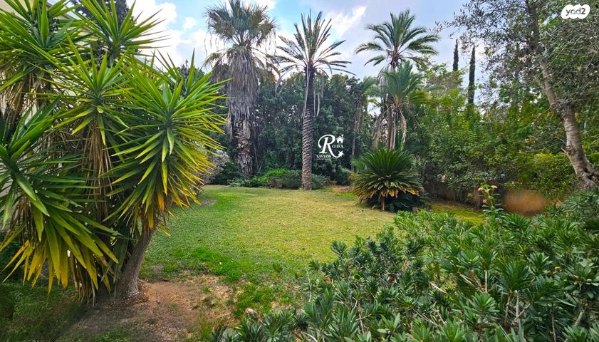 בית פרטי/ קוטג', סביון