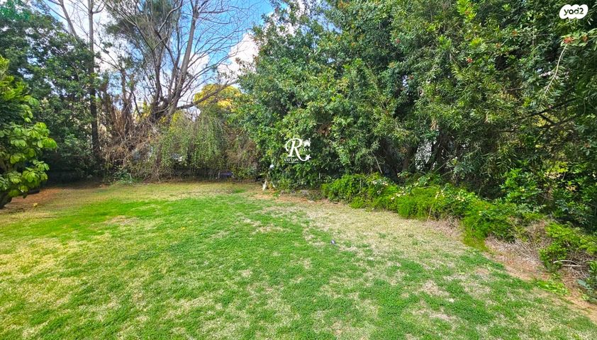 בית פרטי/ קוטג', סביון