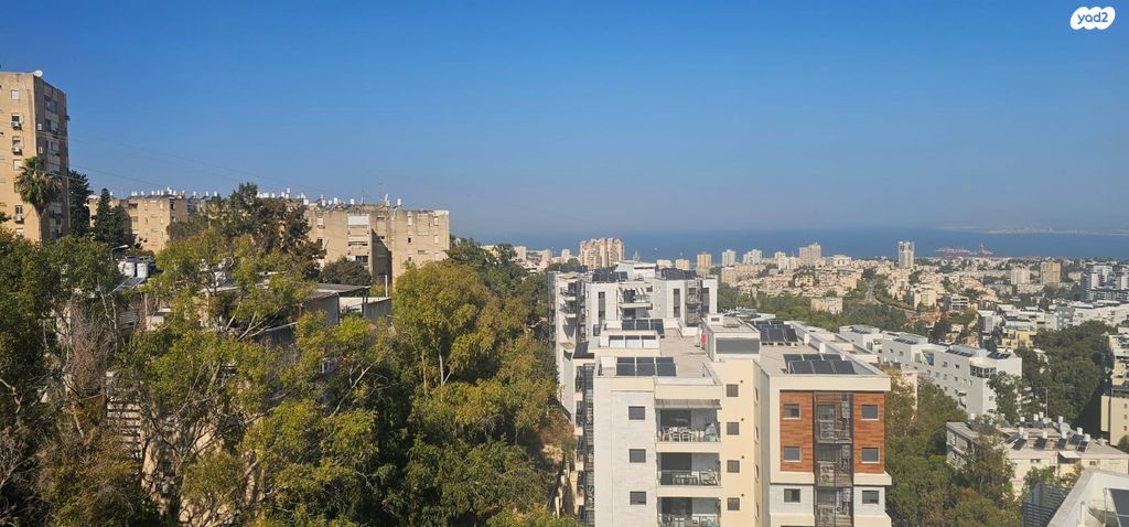 דירה, יהודה בורלא, רמות רמז, חיפה