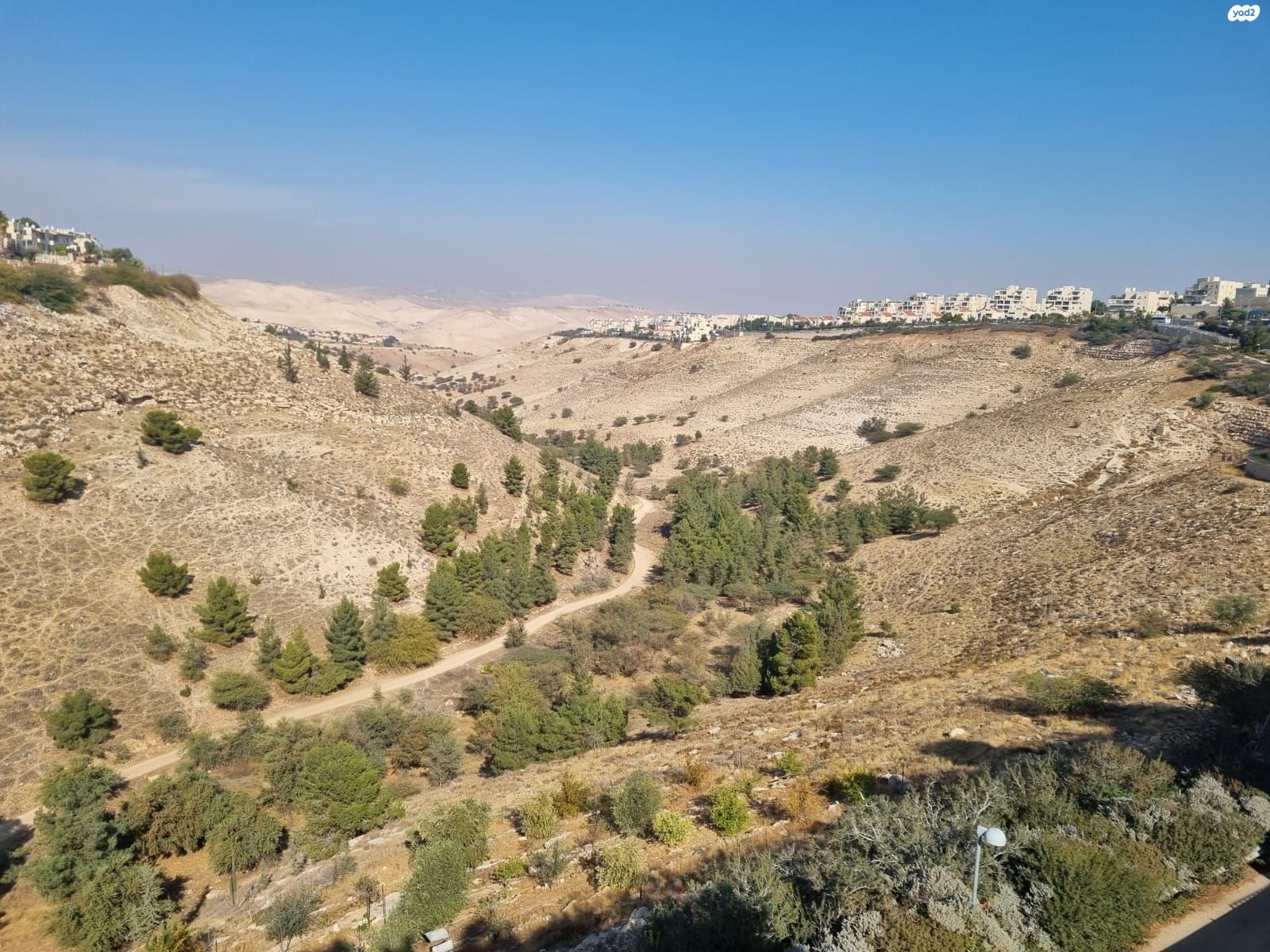 דופלקס