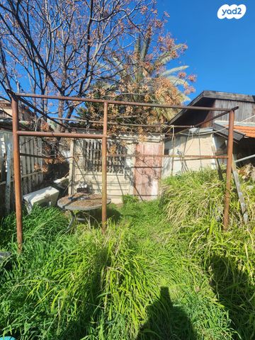 דירה, החלוץ, נווה דוד, רמלה