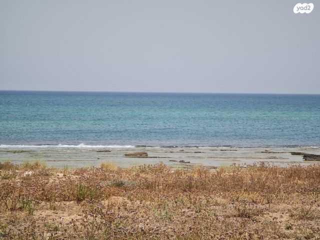 החוף 