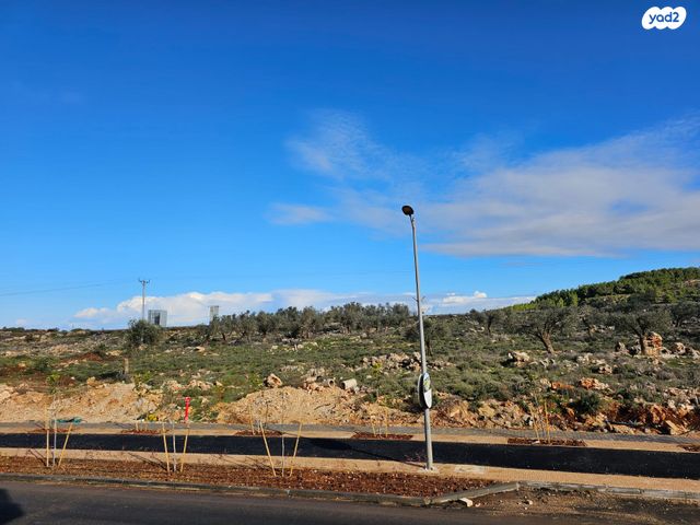 דירה, כפר ורדים