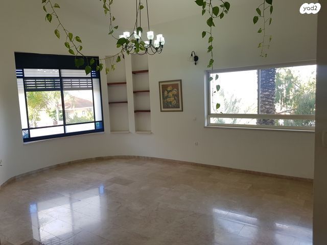אירוס 278