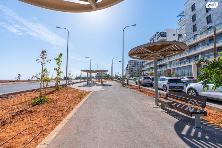 דירה, עמירם, פרדס חנה כרכור