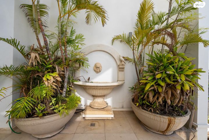 גג/ פנטהאוז, תל אביב יפו