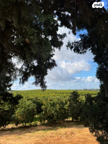 מגרשים