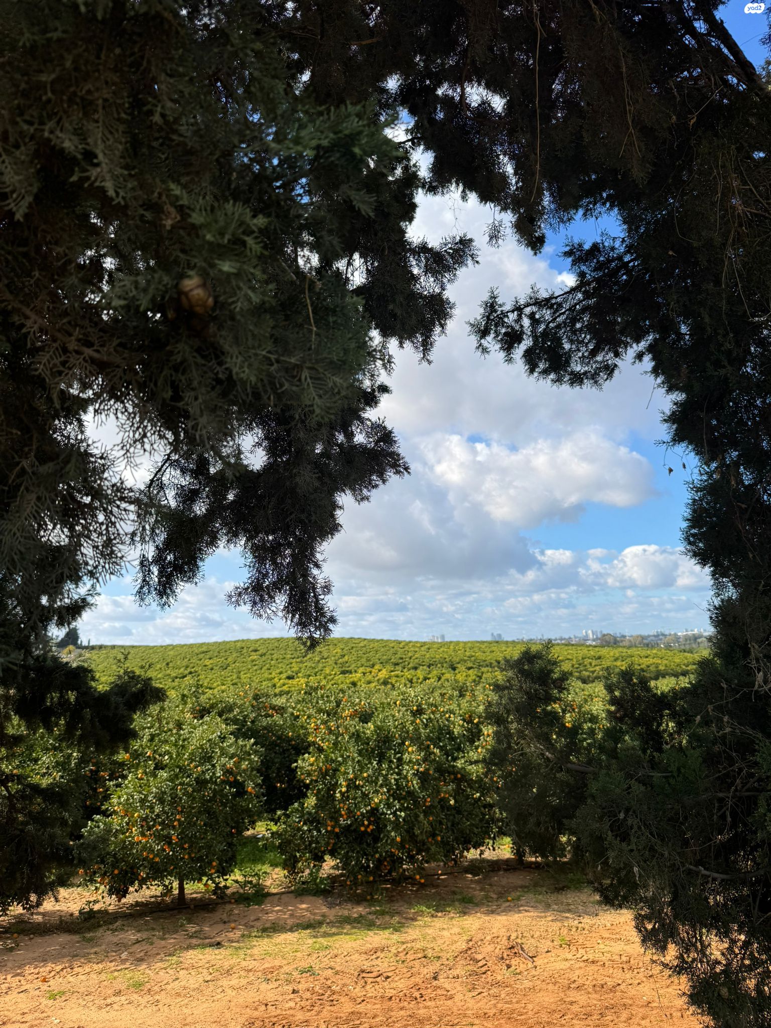 מגרשים