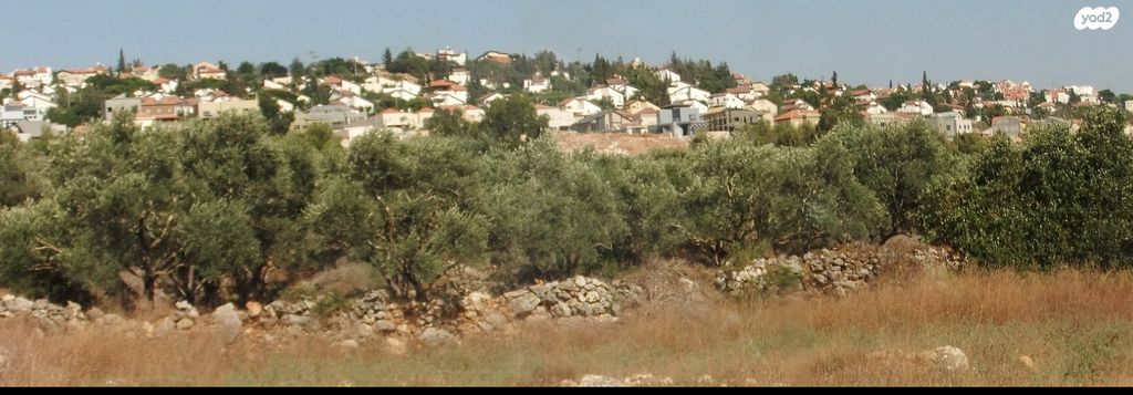 דירת גן