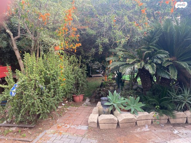 מגרשים, ברל כצנלסון 89, הרצליה