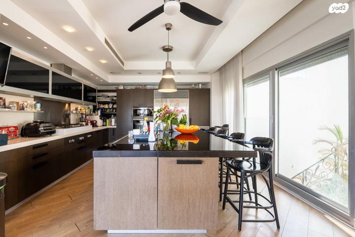 גג/ פנטהאוז, תל אביב יפו