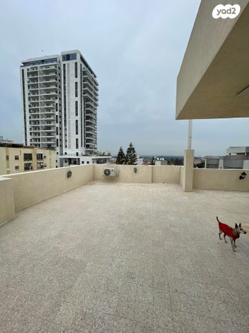 דופלקס, מלחמת ששת הימים 20, חדרה