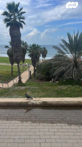 דירת גן, יסעור, תל אביב יפו