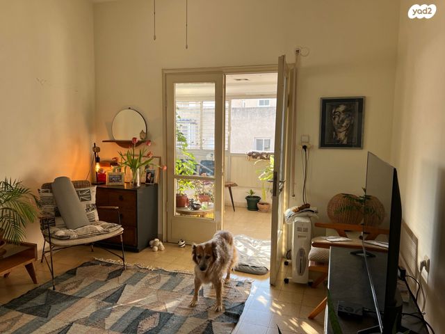 דירה, שמעון התרסי, הצפון הישן - צפון, תל אביב יפו