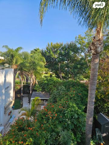 דופלקס, פשוש, כפר סבא