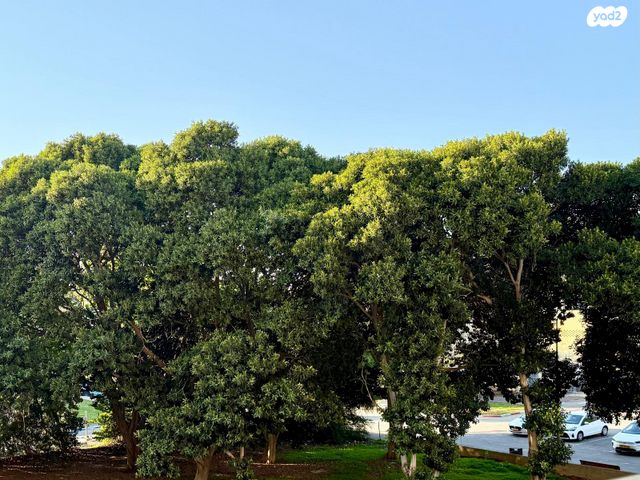 דירה, רמת אביב ג', תל אביב יפו