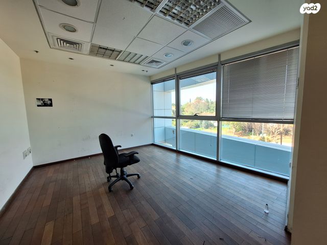 ראול ולנברג 