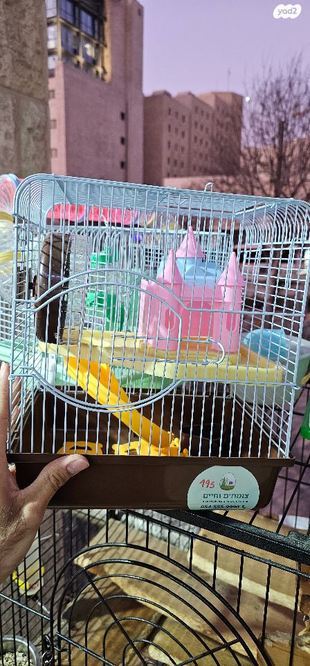 תמונת מודעה - חיות מחמד