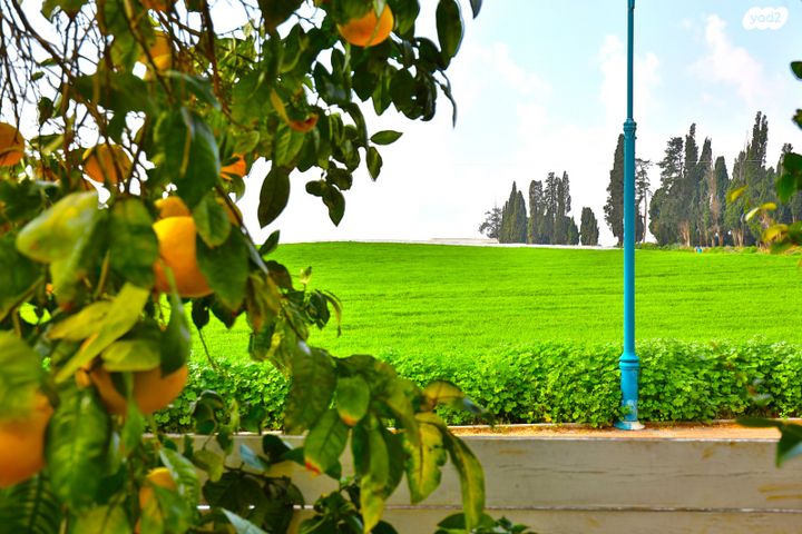 בית פרטי/ קוטג', תל מונד