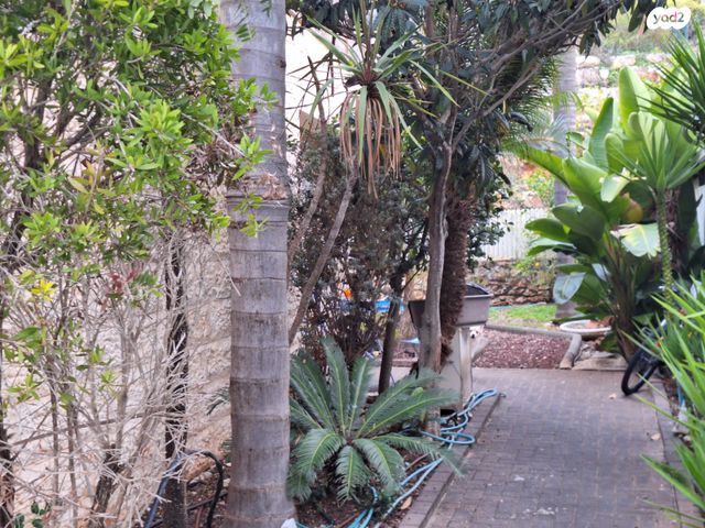 בית פרטי/ קוטג', חוסן