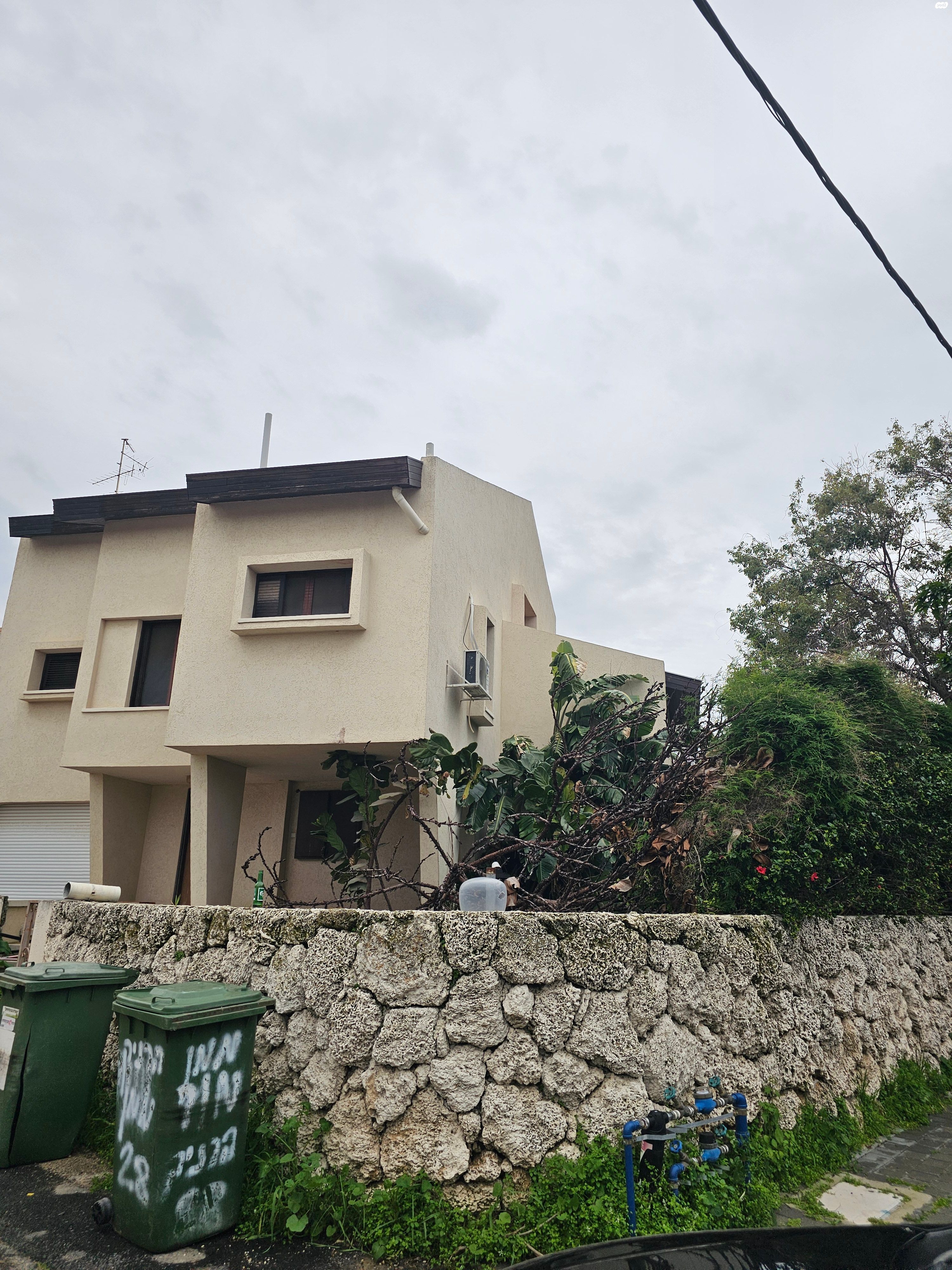 לילינבלום 