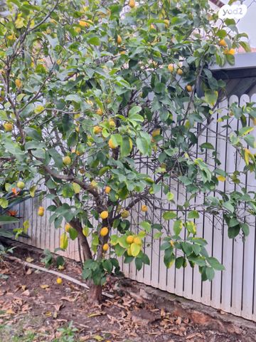 בית פרטי/ קוטג', חוסן