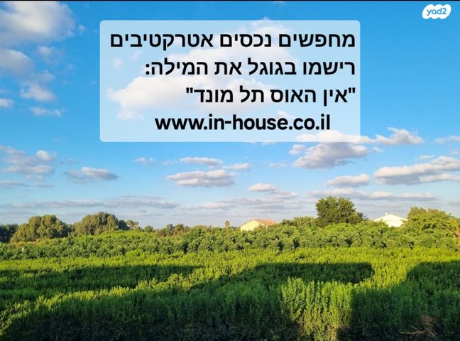 מודעת נכס, תל מונד