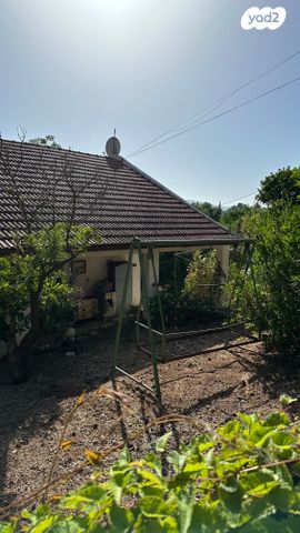 קרית עמל