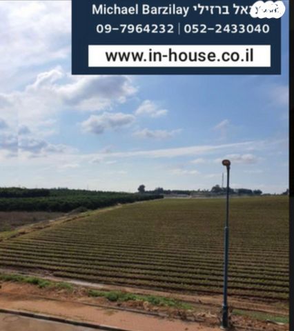 בית פרטי/ קוטג', תל מונד