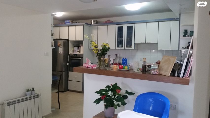 בית פרטי/ קוטג', שדרות דוד המלך, אפרת