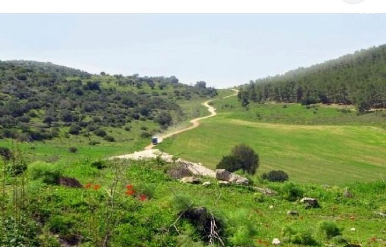 בית פרטי/ קוטג'