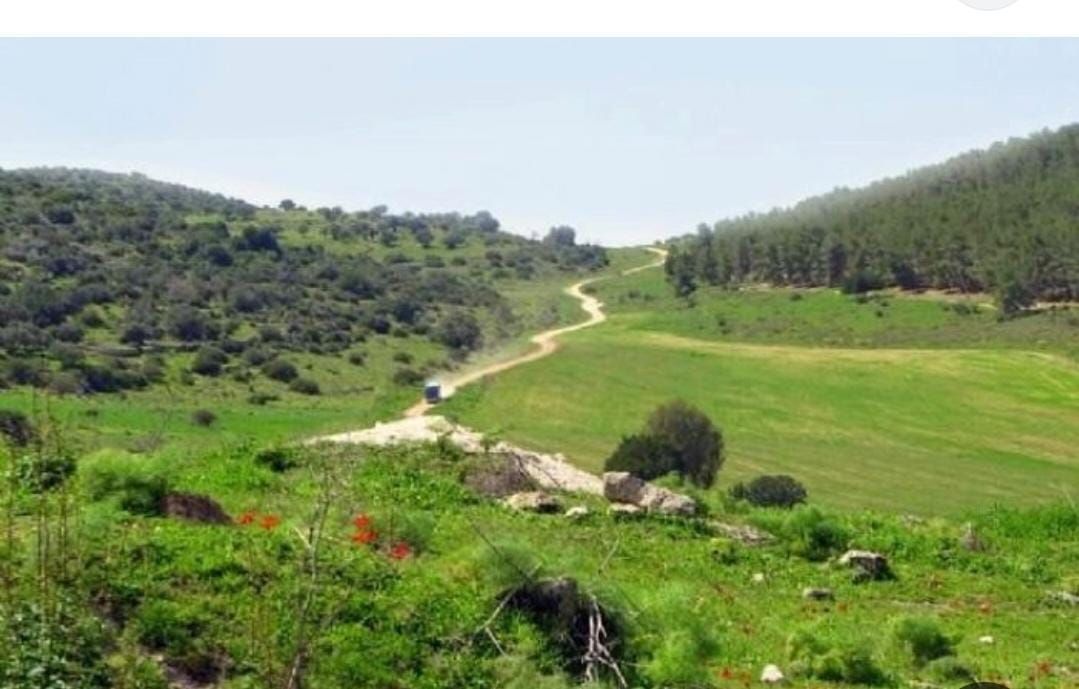 בית פרטי/ קוטג'